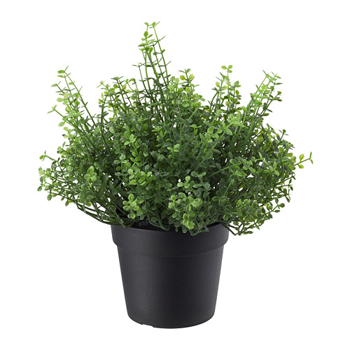 FEJKA Artificial potted plant, thyme, 3 ½ - IKEA