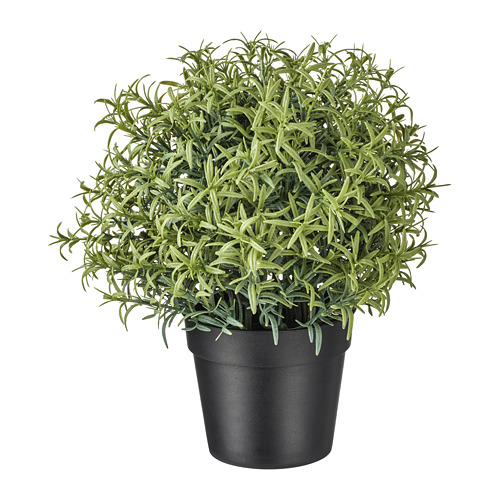 FEJKA Artificial potted plant, thyme, 3 ½ - IKEA